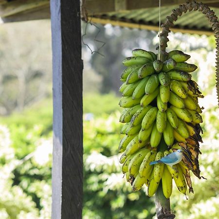 Apartmán Coffee Garden Ranch Costa Rica Concepcion  Exteriér fotografie