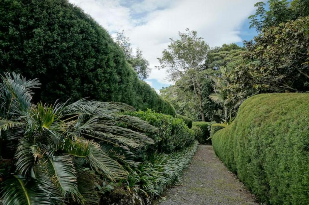 Apartmán Coffee Garden Ranch Costa Rica Concepcion  Exteriér fotografie