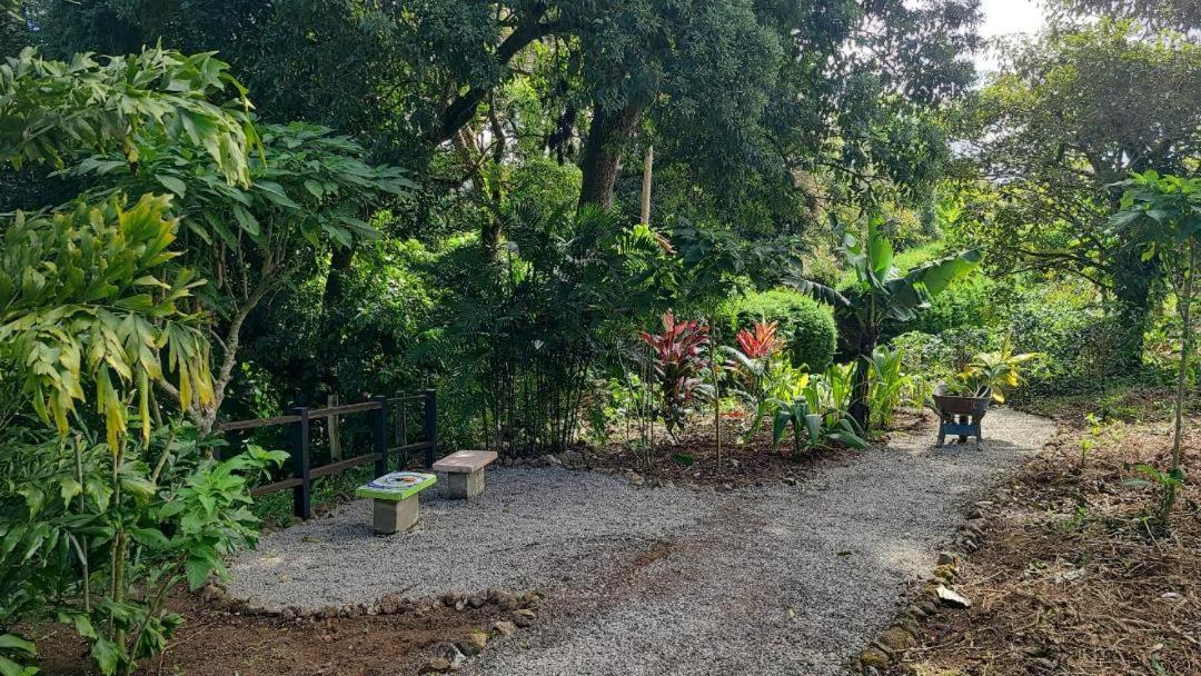 Apartmán Coffee Garden Ranch Costa Rica Concepcion  Exteriér fotografie